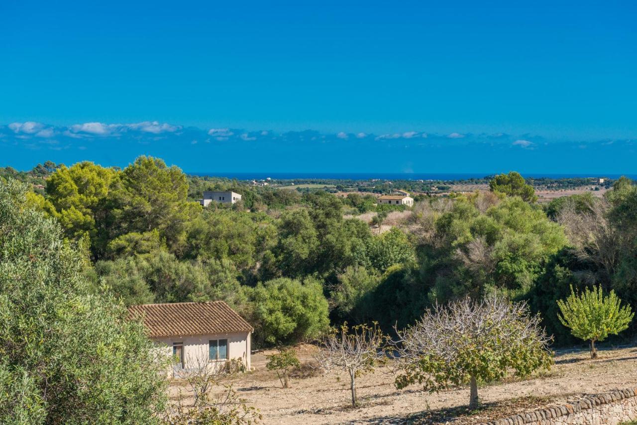 Finca Son Colom Манакор Экстерьер фото